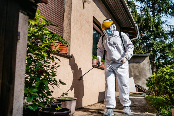 Best Exterminator Services  in Cerro Gordo, IL