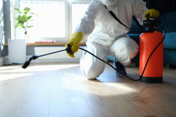 Pest Control Cost in Cerro Gordo, IL