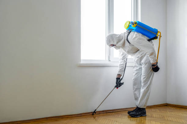 Best Cockroach Control Services  in Cerro Gordo, IL