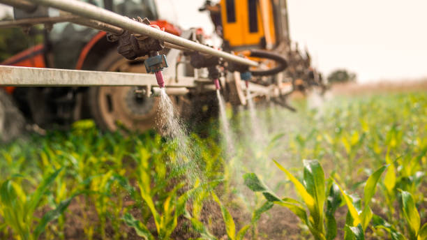 Best Local Pest Control Services  in Cerro Gordo, IL